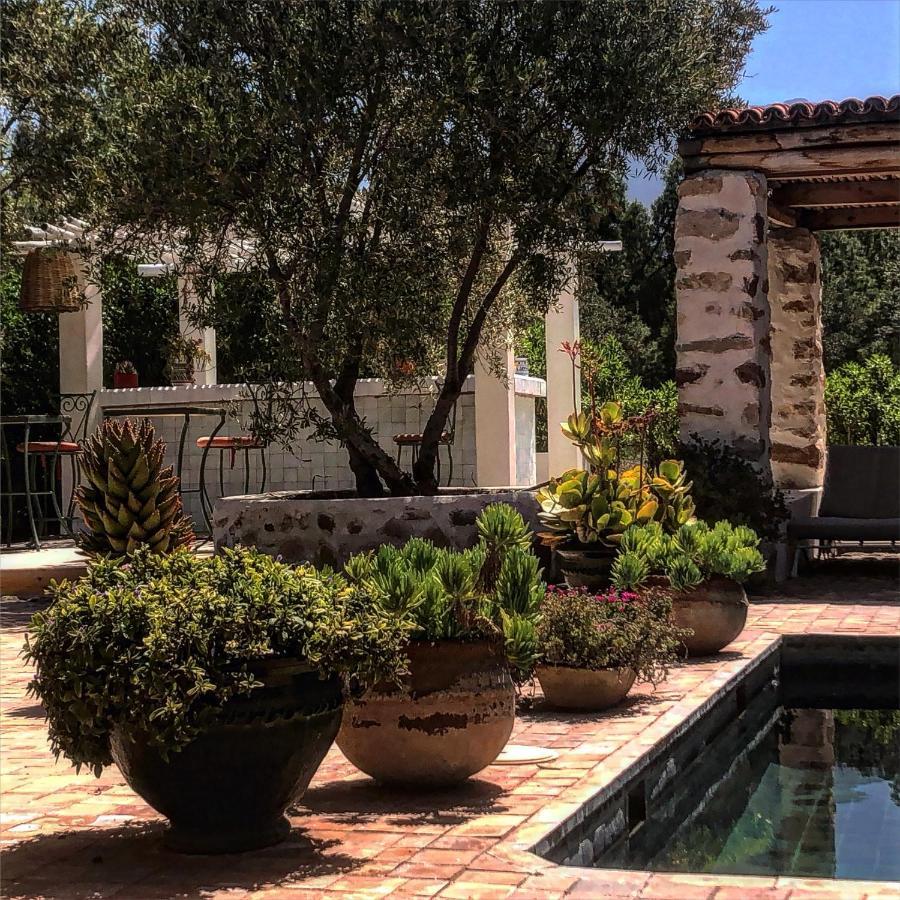 Sel D Ailleurs, Atlas Mountain Retreat - Adults Only Ouirgane Esterno foto