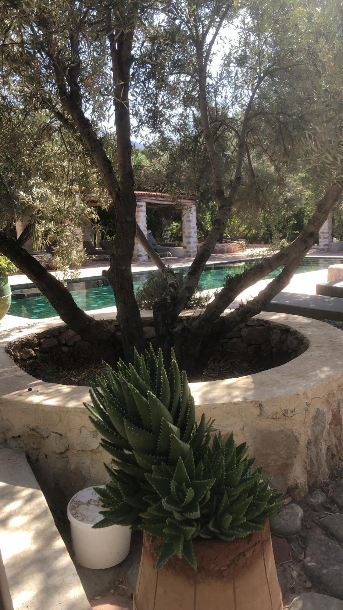 Sel D Ailleurs, Atlas Mountain Retreat - Adults Only Ouirgane Esterno foto