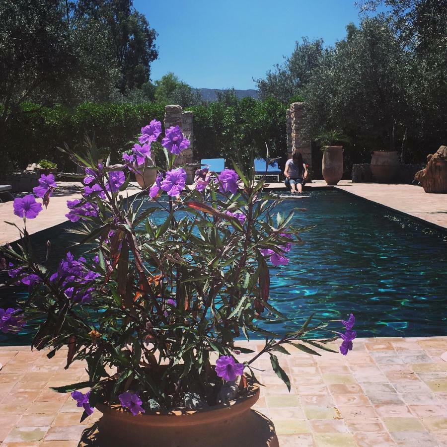 Sel D Ailleurs, Atlas Mountain Retreat - Adults Only Ouirgane Esterno foto